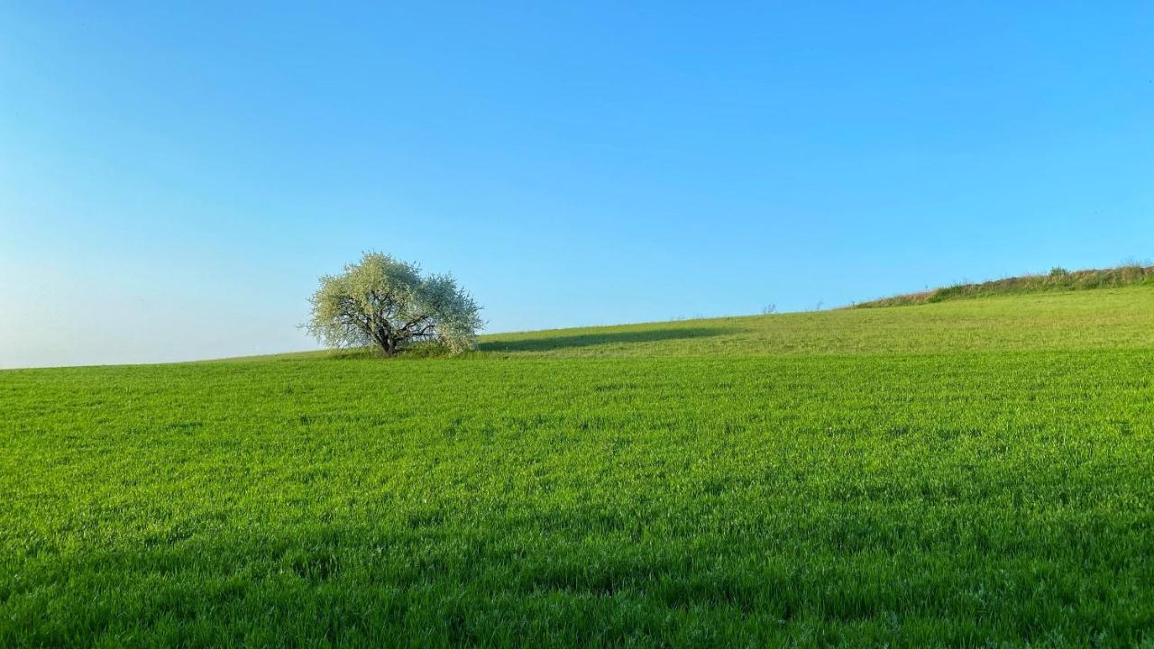 Agriturismo Albana Castiglione delle Stiviere Kültér fotó